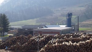 drvodjelac pilana u Bednji