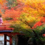 japanski+vrt+most+jesen