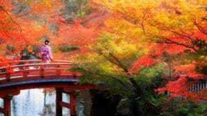 japanski+vrt+most+jesen