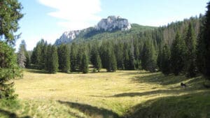 flora sjevernog velebita, Hrvatska