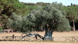 Nacionalni park Brijuni, Hrvatska