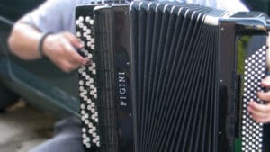 Gidra, profesor muzike