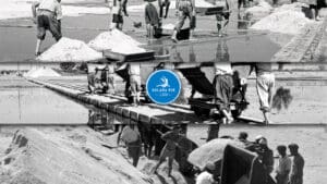 Solana NIN, historija