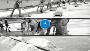 Solana NIN, historija