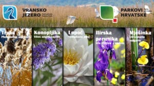 Flora, Vransko jezero, park prirode