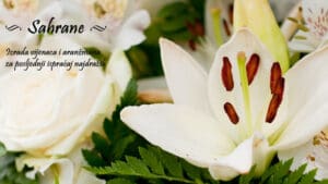 Atelje Artistik, usluge, sahrane