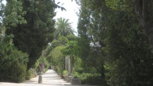 Arboretum Trsteno,