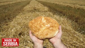 Hrana, selo, eco hrana, seoski turizam, gazdinstvo, poljoprivreda