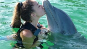djevojka, delfin, voda