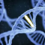 DNK - Proces starenja - Yamanaka geni