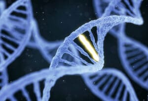 DNK - Proces starenja - Yamanaka geni