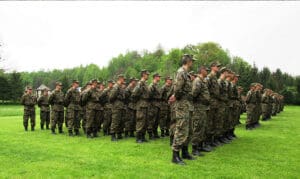 Oružane snage Bosne i Hercegovine