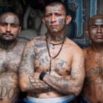 MS-13