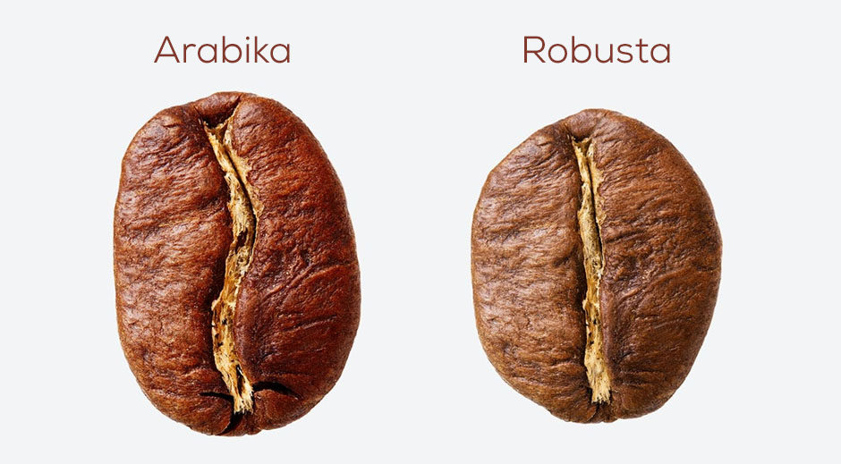 Arabika i Robusta