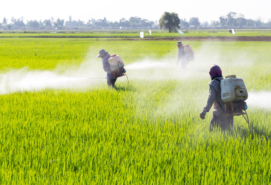 Zaprašivanje pesticidima - Azija