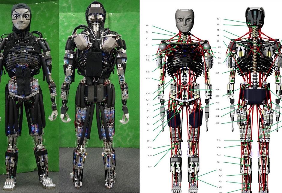 Humanoidni robot