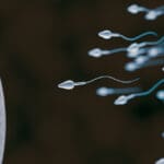 Spermiji navaljuju