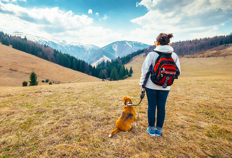 Planinarenje s psom
