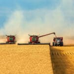 Ruski izvoz pšenice