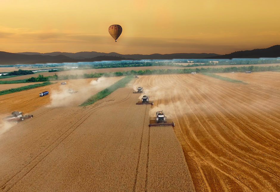 Rusija rekorder u izvozu pšenice