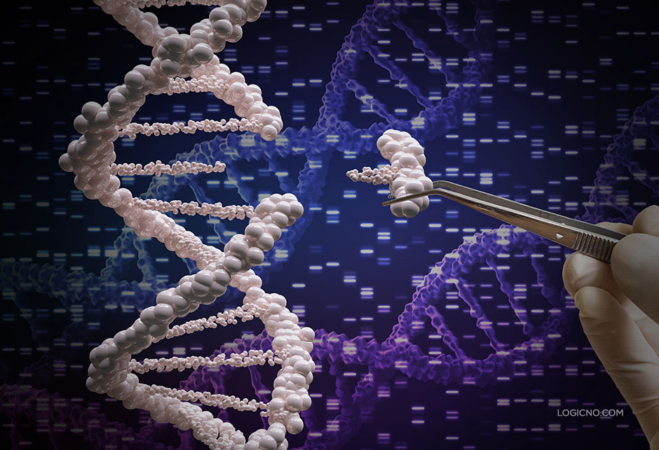 Ljudski genom - Logično