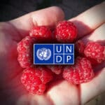 Maline UNDP