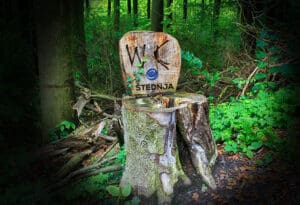 Vijeće Europe - štednja