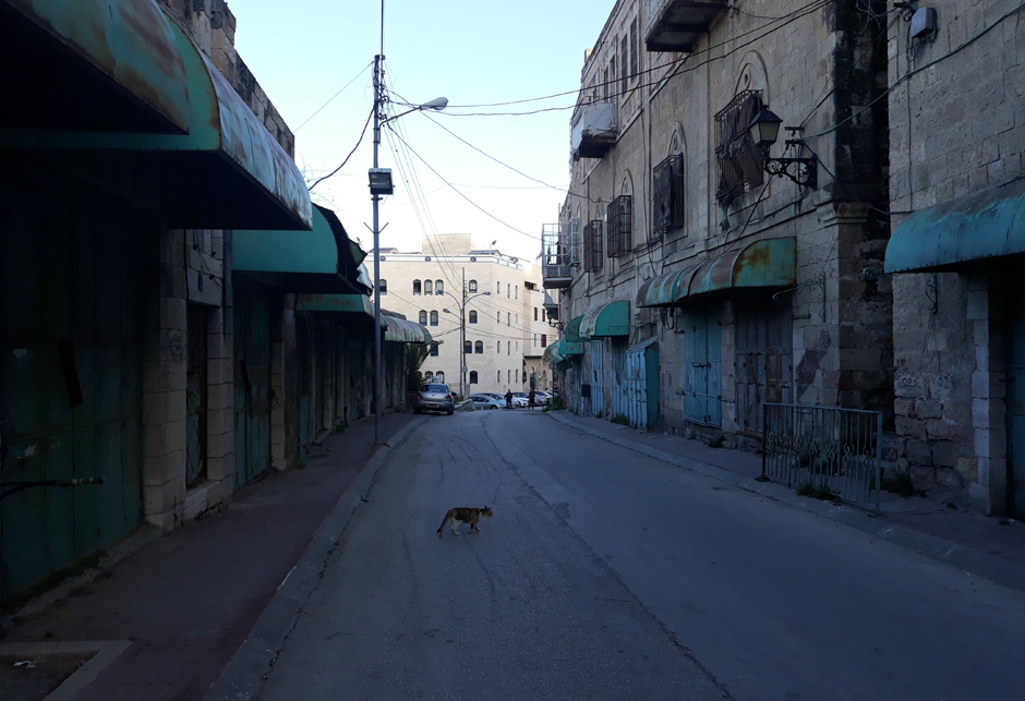 Palestina ulica