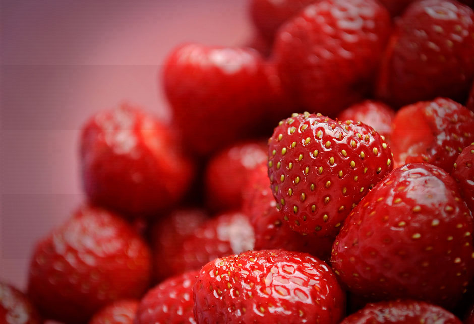 Eutanizirajte jagodare u Hrvatskoj