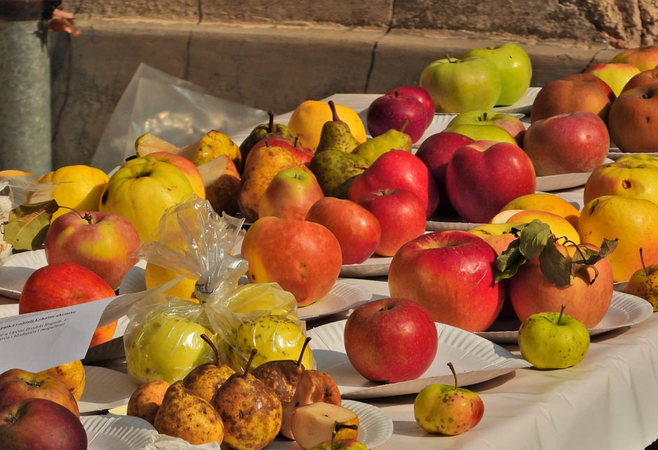 Izložba organskog voća Cernik