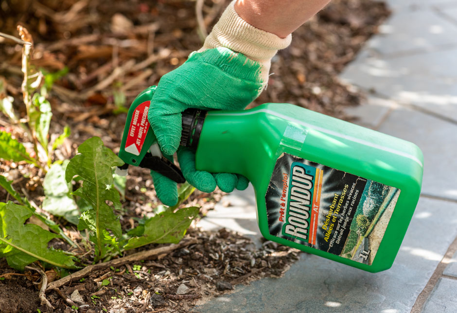 roundup monsanto genetski modifikovana hrana herbicid