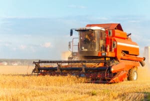 kombajn Belorus zetva psenica kukuruz njiva