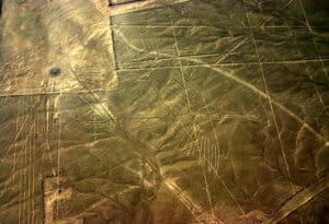 Nazca linije ptica peru