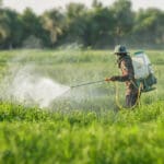 Brazil truje cijeli svijet pesticidima