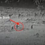 Hezbolah dron
