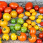 Raznobojne rajčice