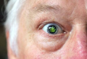 Kanabis oko