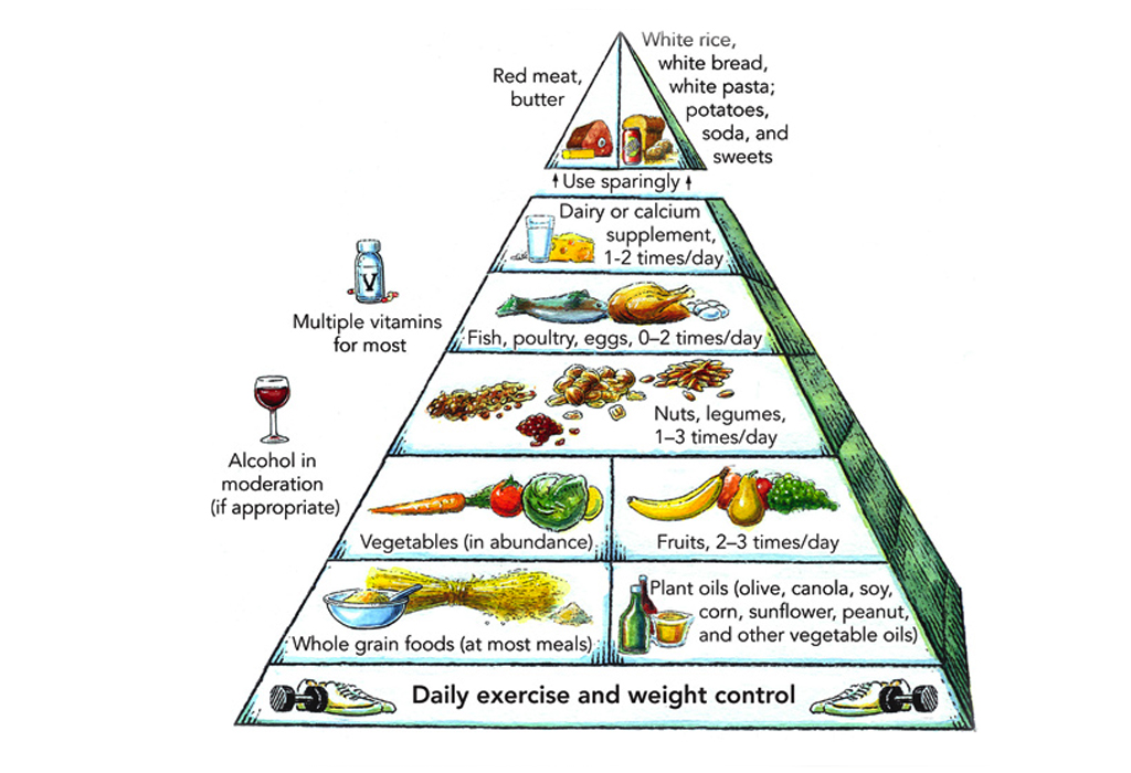 Harvardska piramida prehrane