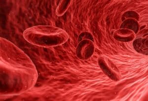 arterije - krv