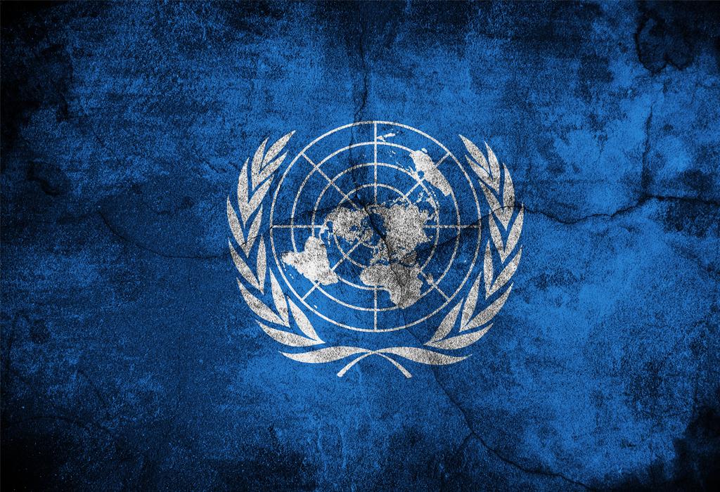 svjetska zdravstvena organizacija