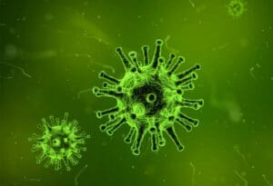 virus