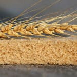 Gluten - Pšenično brašno i kruh