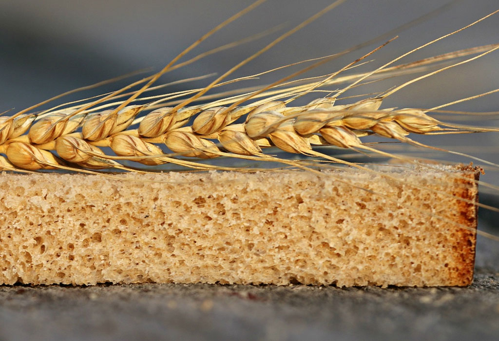 Gluten - Pšenično brašno i kruh