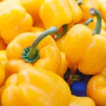 Hrana bogata vitaminom C - Žute paprike