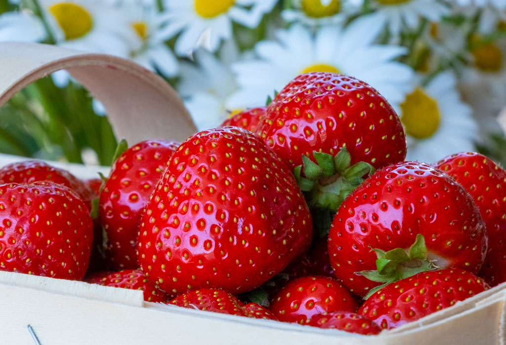 Jagode i zdravlje