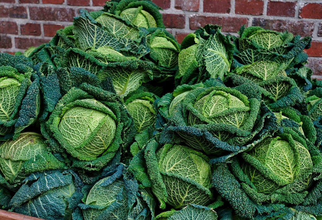 Kelj protiv masne jetre