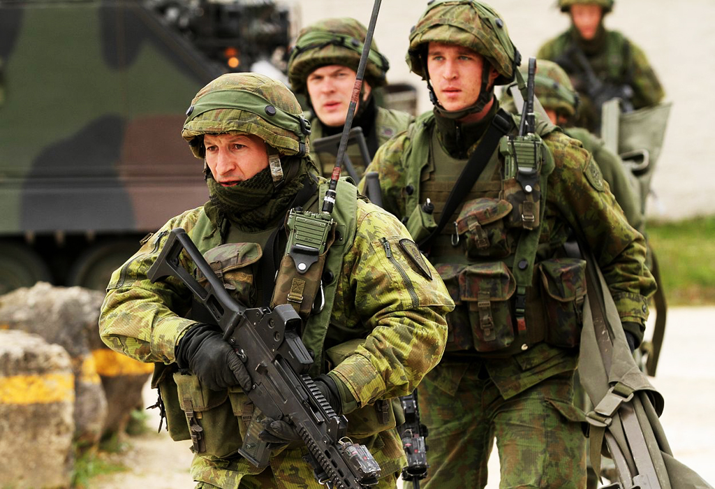 Litvanija vojska