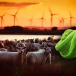Zelena energija i rizici