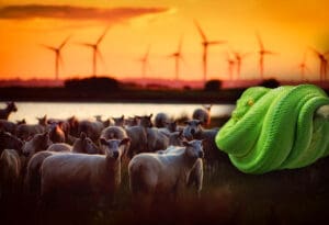 Zelena energija i rizici