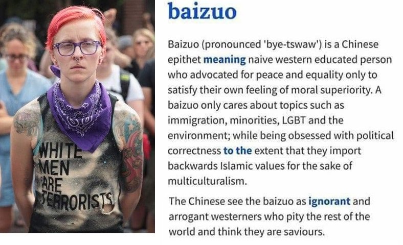 Definicija termina „baizuo“ u engleskom rječniku stranih pojmova